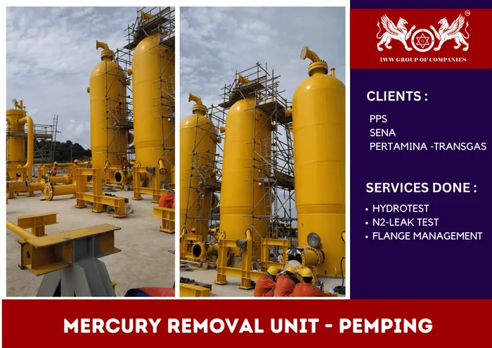 MERCURY REMOVAL UNIT - PEMPING
